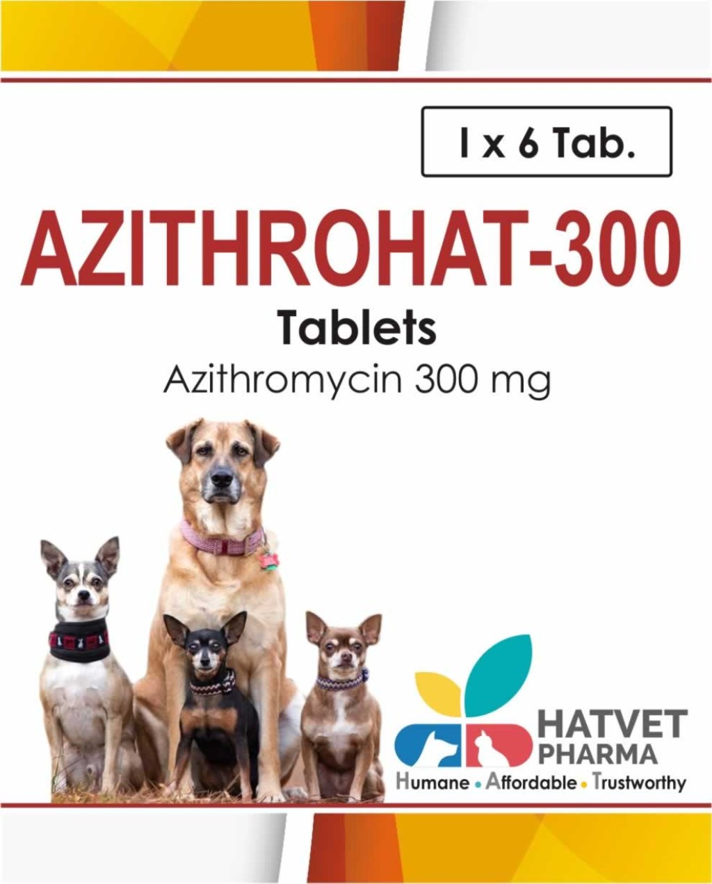 Picture of: Azithrohat  Tablets – HATVET PHARMA