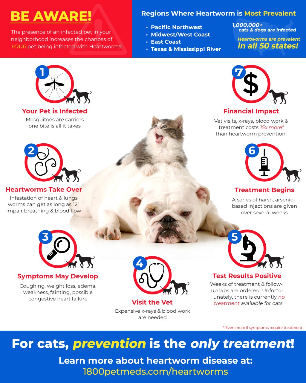 Picture of: Does My Dog or Cat Need Heartworm Prevention?  PetMeds®