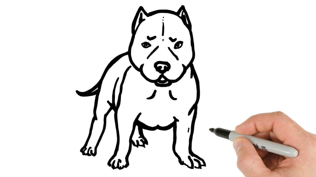 Picture of: How to Draw Pitbull Puppy Easy