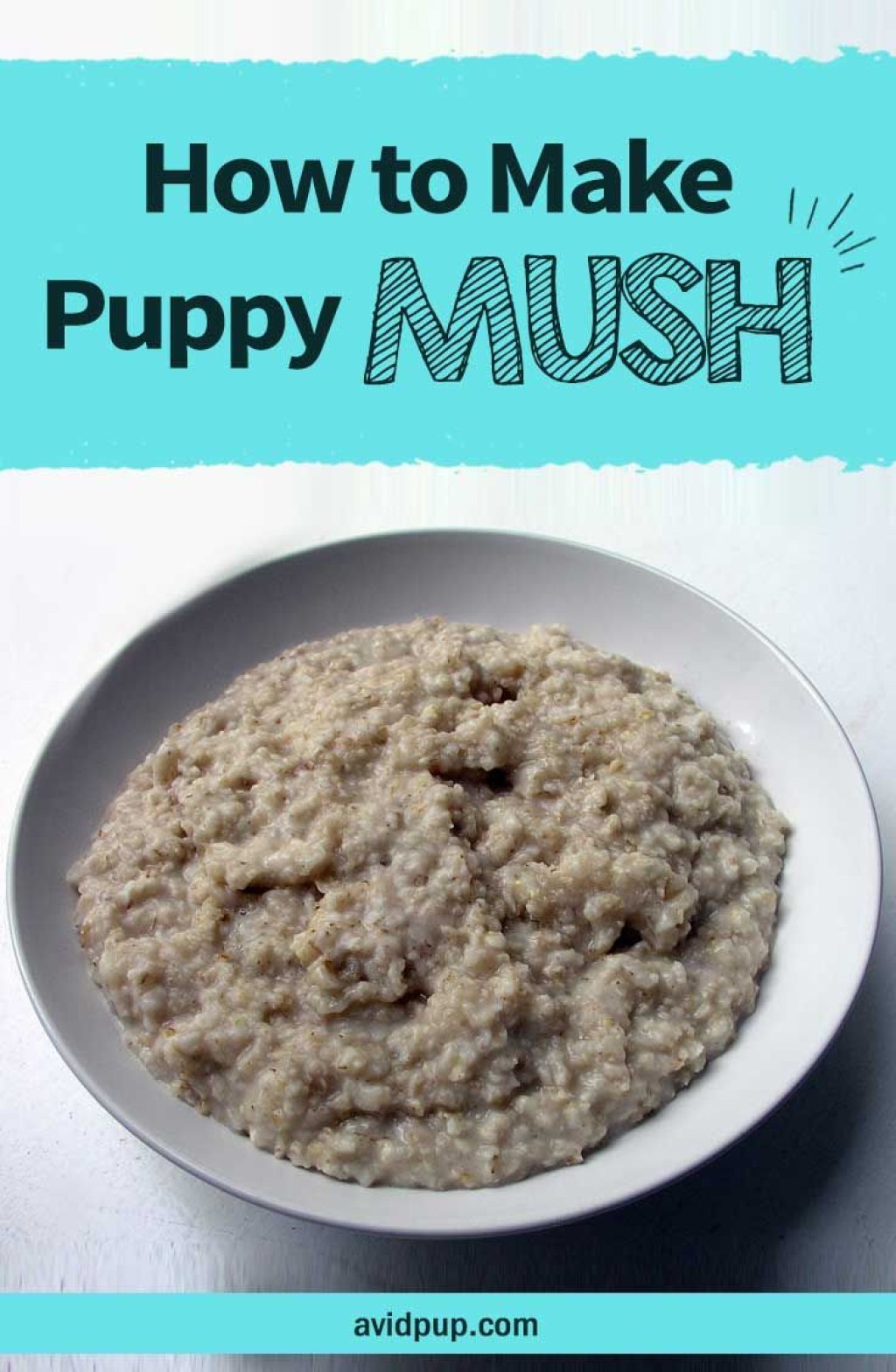 Picture of: How to Make Puppy Mush .