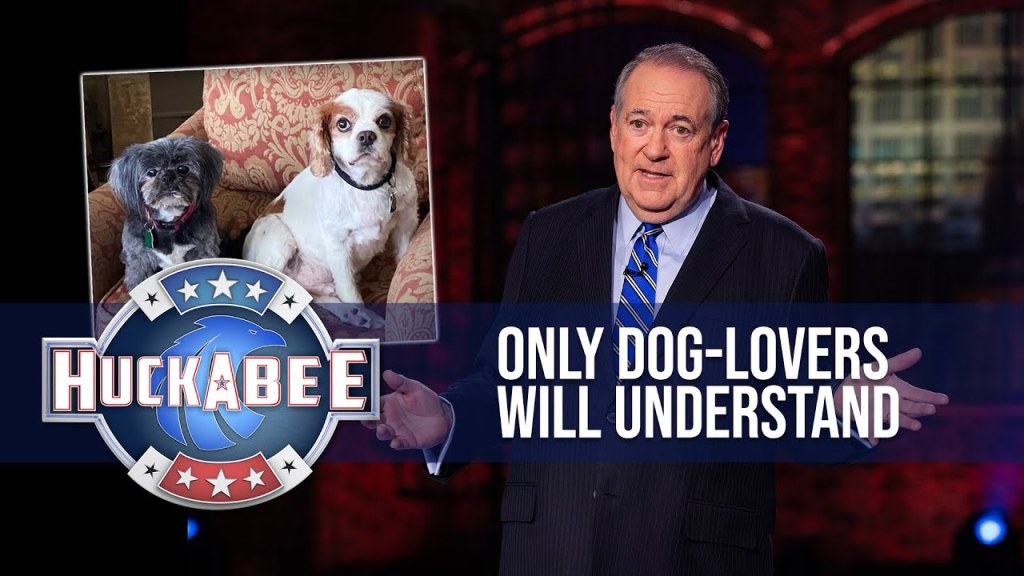 Picture of: Only Dog-Lovers Will Understand  Huckabee