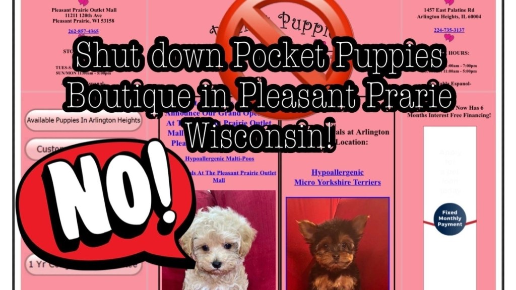 Picture of: Petition · Shutdown Pocket puppies boutique in Pleasant Prarie