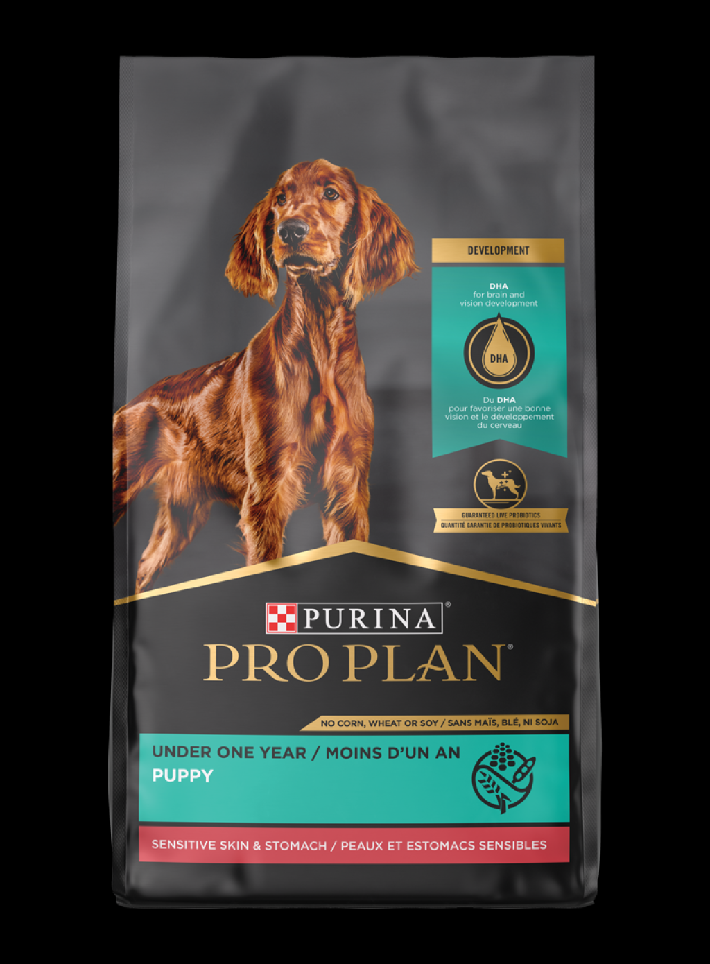 Picture of: Pro Plan Sensitive Skin & Stomach Lamb Dry Puppy Food  Purina