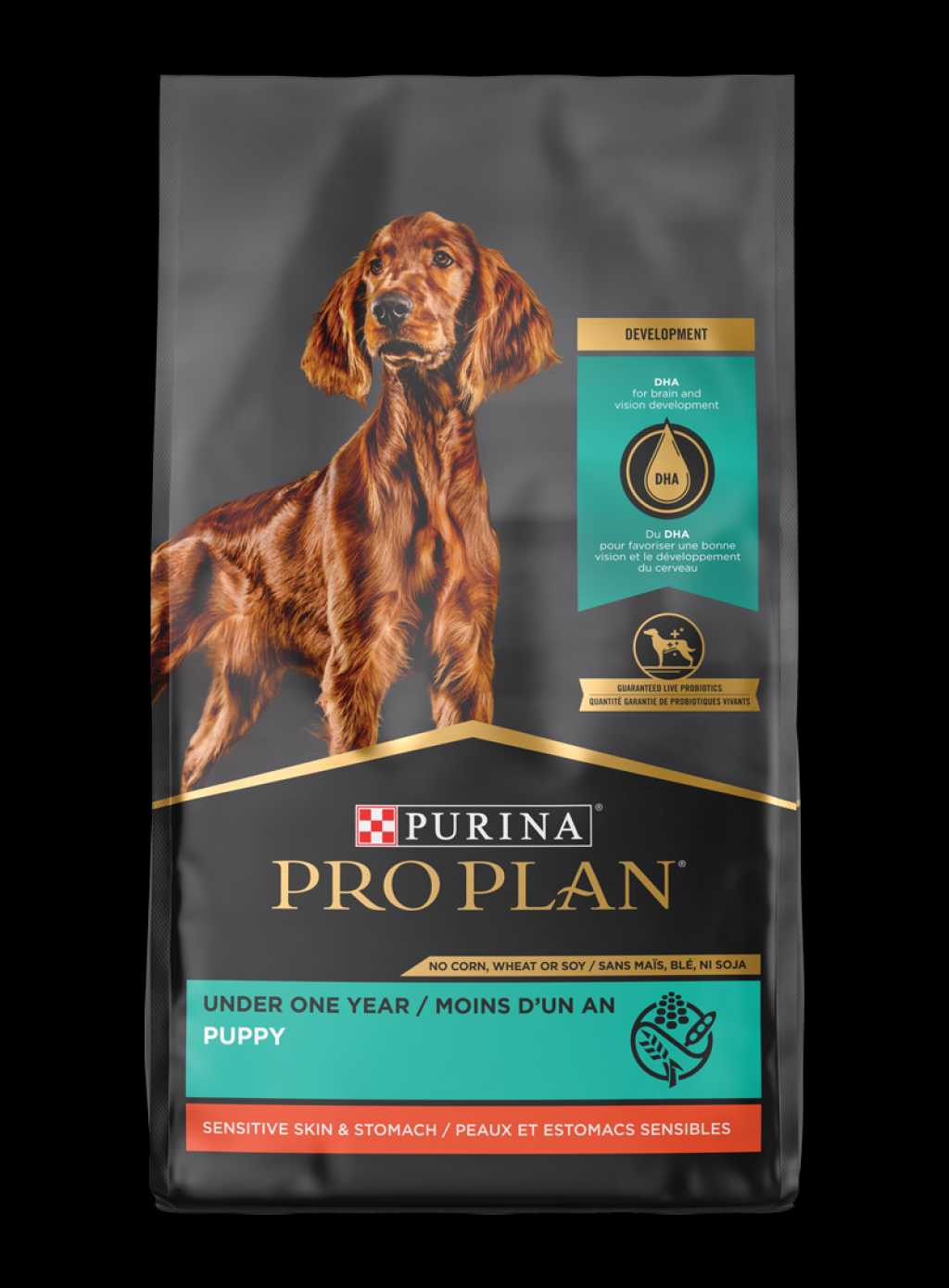 Picture of: Pro Plan Sensitive Skin & Stomach Salmon Rice Dry Puppy Food  Purina