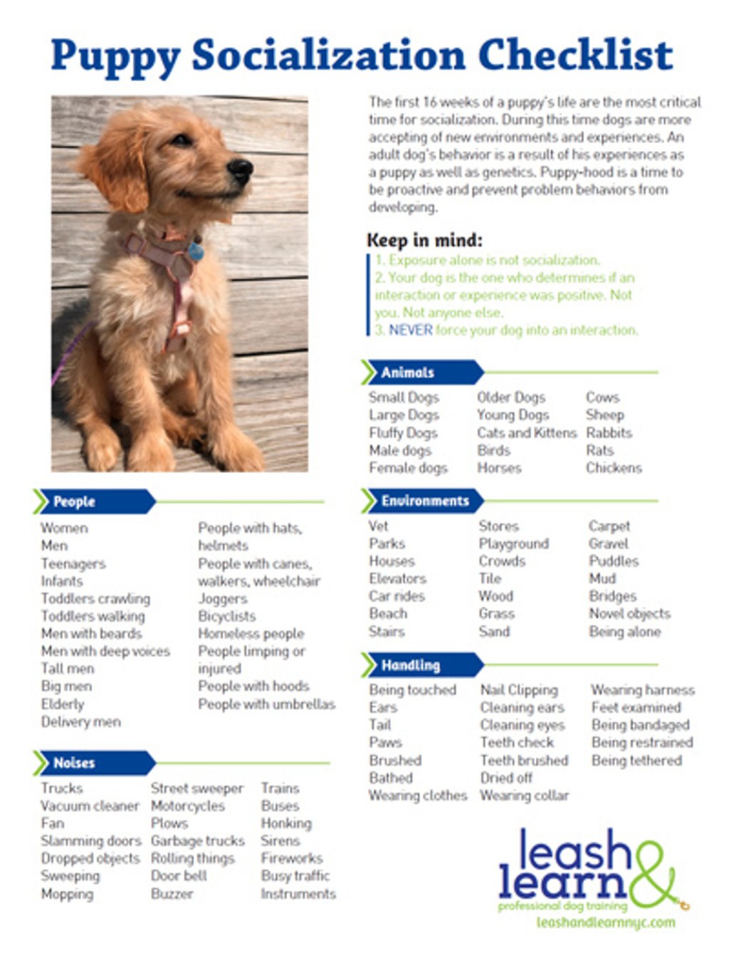 Picture of: Puppy Socialization Checklist  Sheet Handout