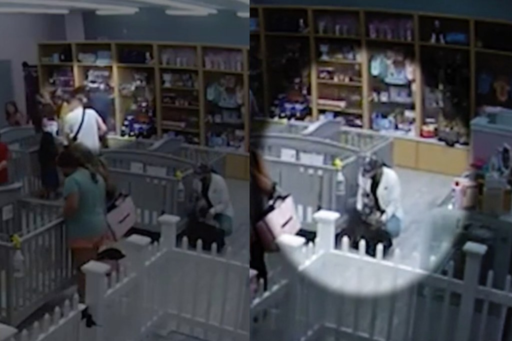 Picture of: Security Footage of Couple Stealing Puppy From An Illinois Store