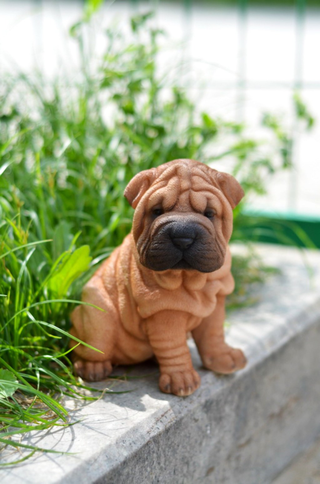 Picture of: Sitting Shar Pei Puppy Statue